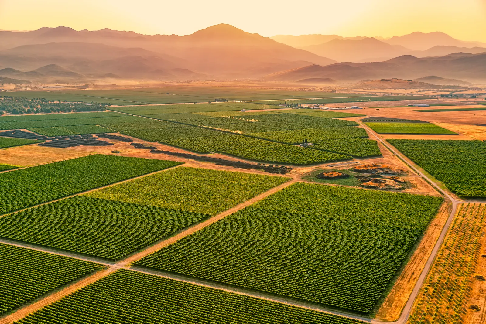 Ruta del vino, Montenegro